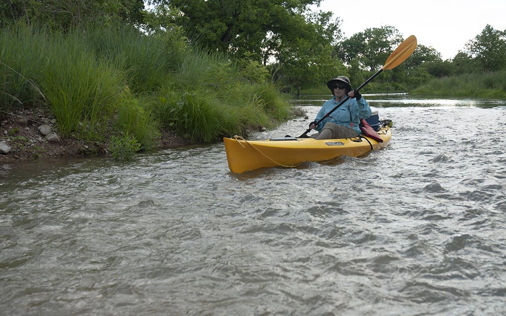 Woods, Waters, and Wildlife:  A Place to Launch