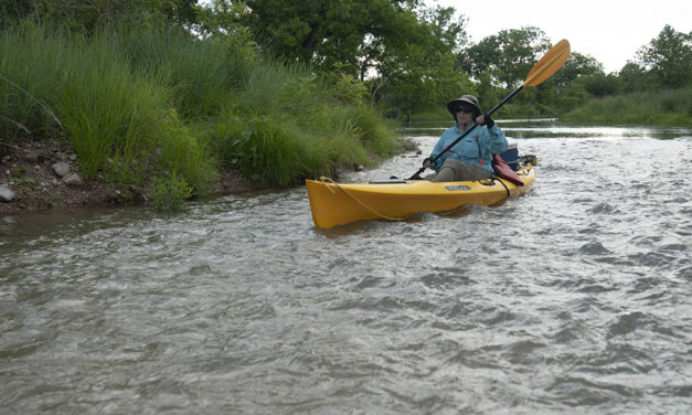 Woods, Waters, and Wildlife:  A Place to Launch