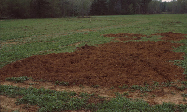 Managing wildlife damage webinar set April 7
