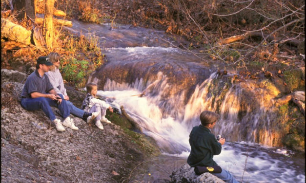 Woods, Waters, and Wildlife:  Freshwater Fishing Regulation Changes