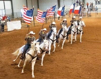 Six White Horses to Lead County Fair Parade on Monday