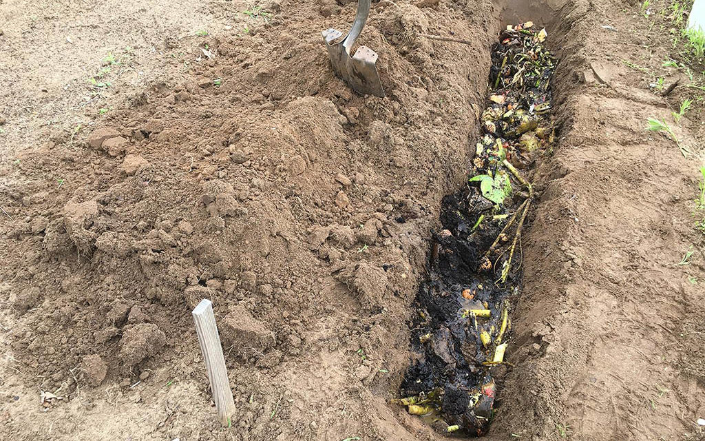 Composting Directly in the Garden