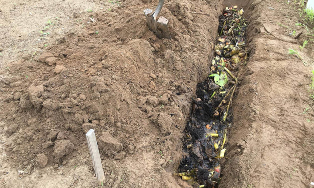 Composting Directly in the Garden