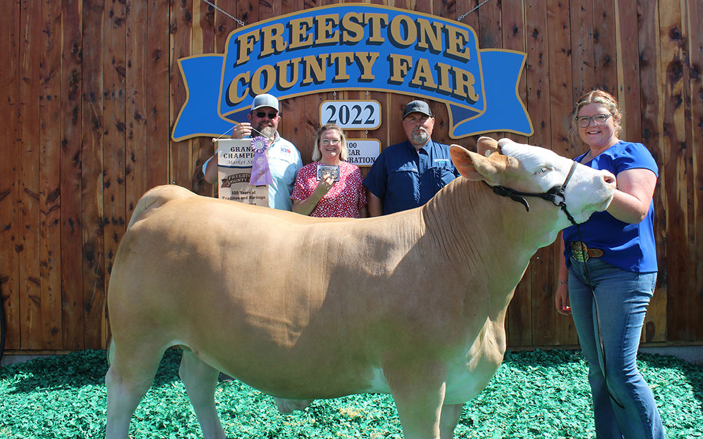 Record Breaking Sale: Grand Champion Steer Goes for $20,000! | FCT News