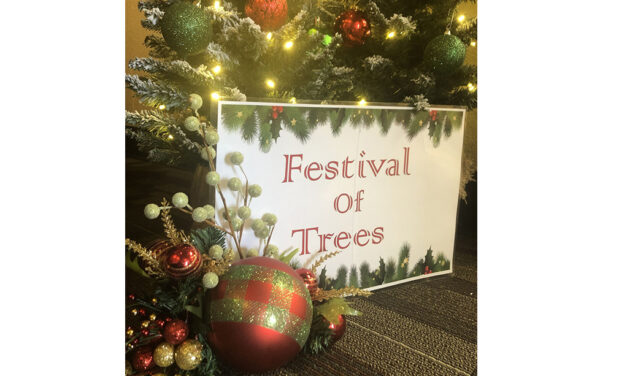 Festival of the Trees at Fairfield Library