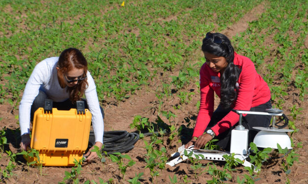 Workshop for Women Farmers, Ranchers Starting July 11 in Fairfield