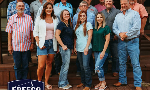 Meet Your ‘FreeCo Go Texan’ Board