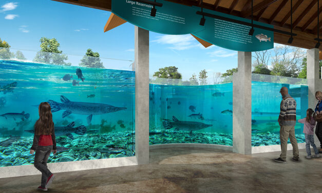 Texas Freshwater Fisheries Center Closing to the Public Starting Aug. 28 for Renovations