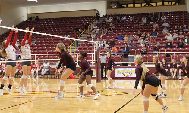 Lady Eagles Volleyball Action