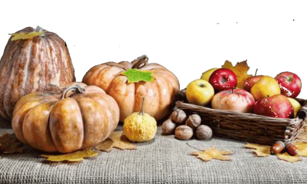 Join FCU Food Drive for Chance to Win Turkey Fryer