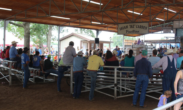 New Show Home in the Works at the Freestone County Fairgrounds