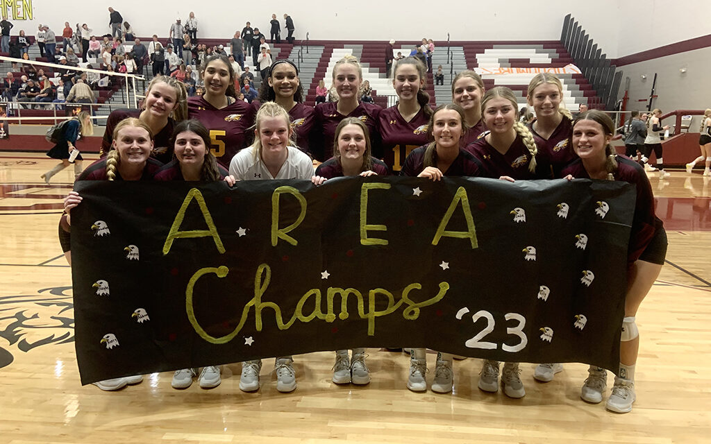 Lady Eagles Area Champions Face Troy in Regional Quarter Finals on Tuesday