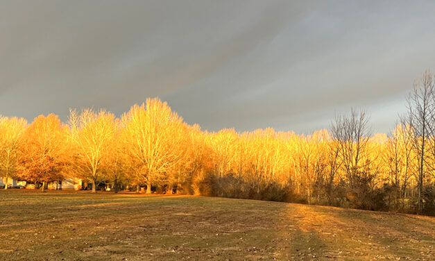 Woods, Waters, and Wildlife:  F-8 and Be There!