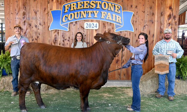 Livestock Breeding Show Results