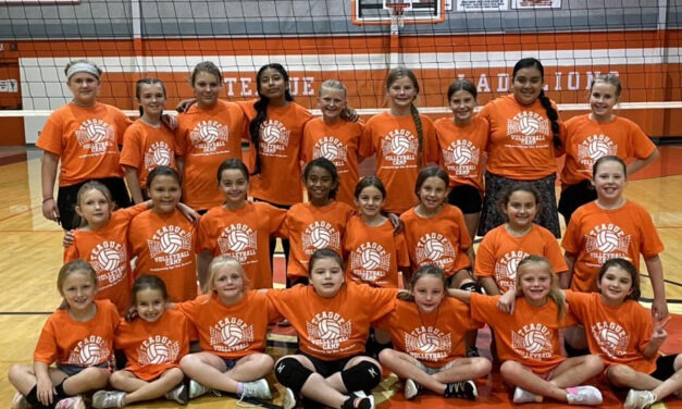 Honing Their Volleyball Skills at Camp