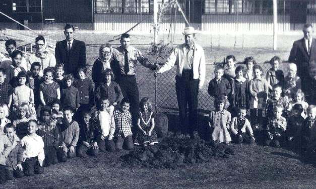 History of Fairfield Elementary Oak Tree