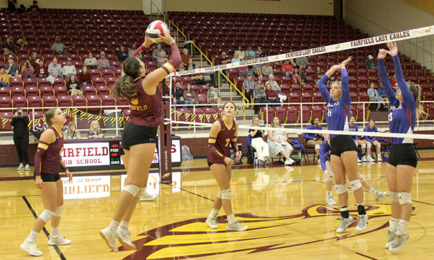 Lady Eagles Butt Heads with Lady Elks