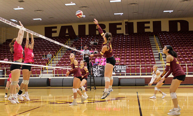 Lady Eagles Play Buffalo Bison at Last Home Game of Season