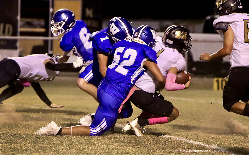 Bulldogs Swat Yellowjackets for Homecoming Win