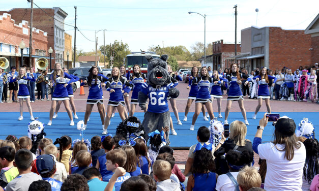 2024 WHS Homecoming Celebrities in the Spotlight