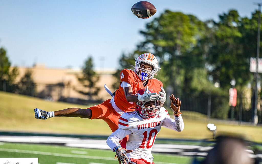 Lions Dominated in Area Playoffs 56-14