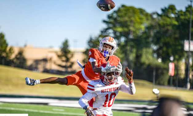 Lions Dominated in Area Playoffs 56-14