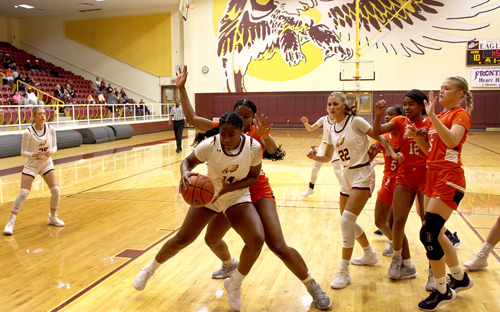 Teague Lady Lions Fall to Fairfield Lady Eagles