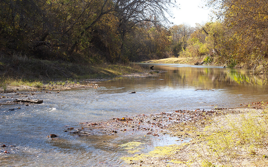 Woods, Waters, and Wildlife:  Finding Column Material