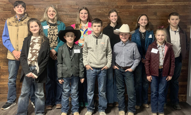 Auction Brings in $56,700 at 3rd Annual Youth Commercial Heifer Contest