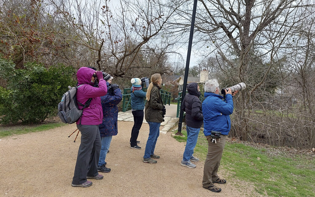 Flock Together for the Great Backyard Bird Count