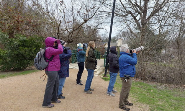 Flock Together for the Great Backyard Bird Count