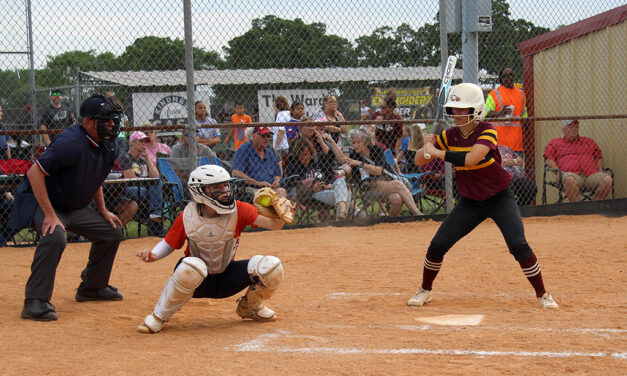 Lions & Eagles Face-Off on the Diamond for Last District Game