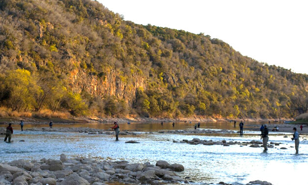 Woods, Waters, and Wildlife:  State Parks Poppin’ Up