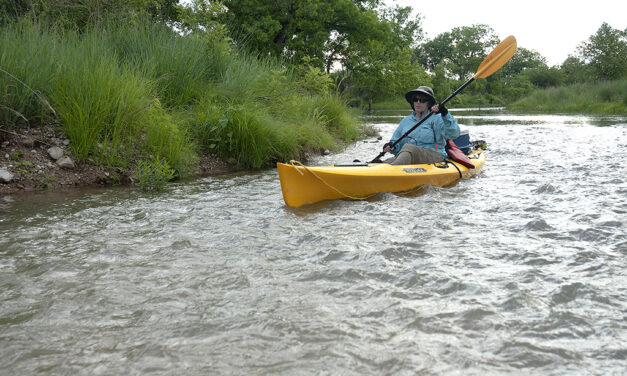 Woods, Waters, and Wildlife:  Responding to Irresponsibility