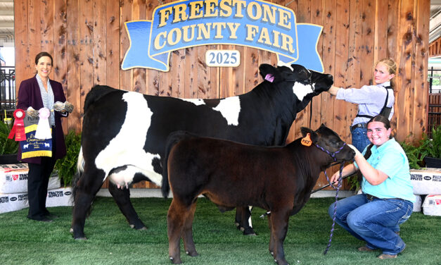 2025 Freestone County Livestock Show Results