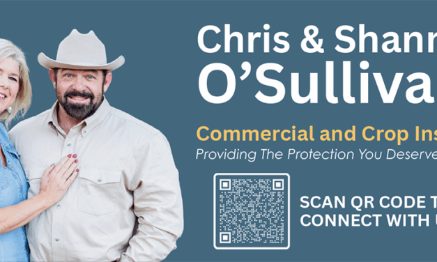 Open House Friday:  Community Invited to Meet the Folks of WSR Insurance