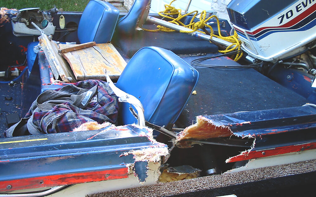 Woods, Waters, and Wildlife:  A Seemingly Endless Summer