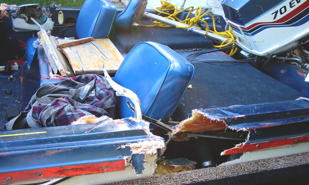 Woods, Waters, and Wildlife:  A Seemingly Endless Summer