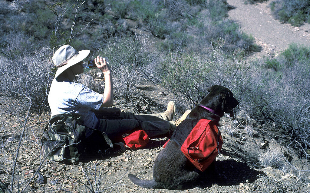 Woods, Waters, and Wildlife:  Can’t Take a Gun?  Take a Dog!