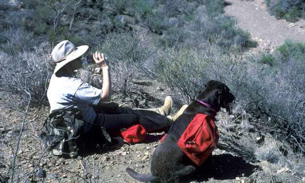 Woods, Waters, and Wildlife:  Can’t Take a Gun?  Take a Dog!