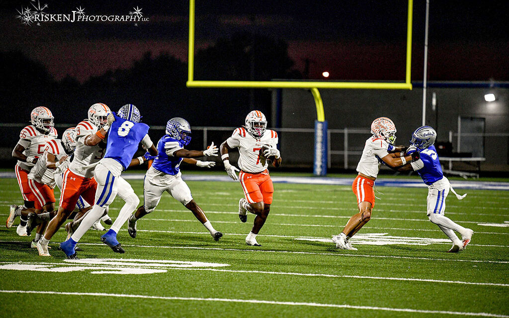 Lions Fall in Key Road Game to Bulldogs