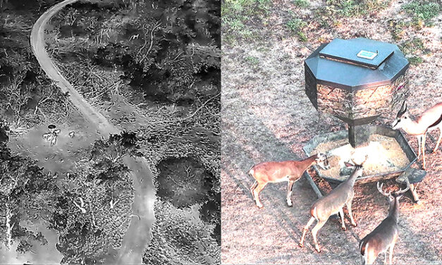 Woods, Waters, and Wildlife:  Drone Images Improve Surveys