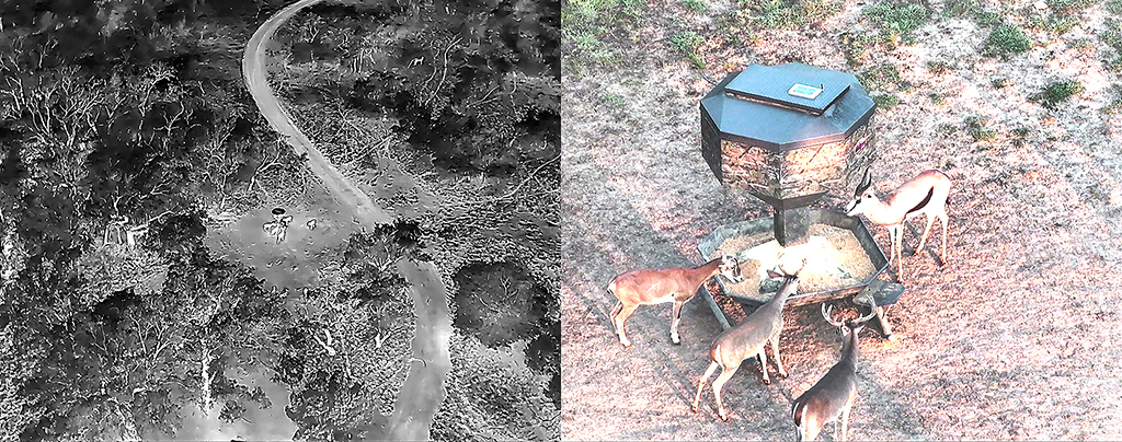 Woods, Waters, and Wildlife:  Drone Images Improve Surveys