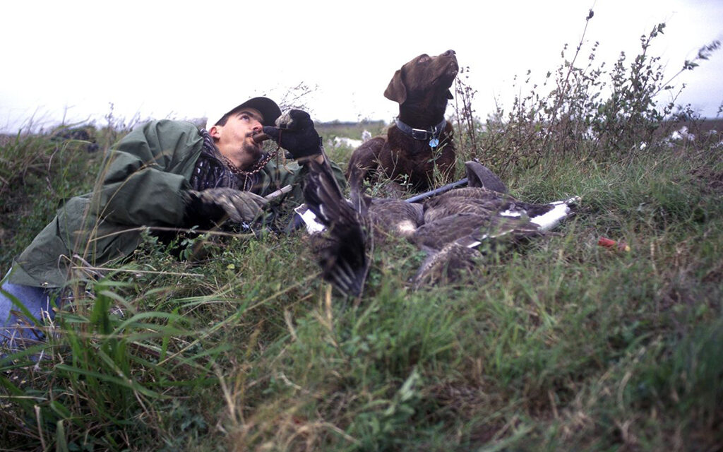 Woods, Waters, and Wildlife:  Good Day for Ducks Nears