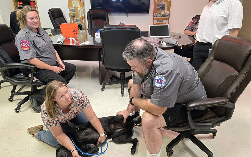 K-9 Training with Fairfield EMS