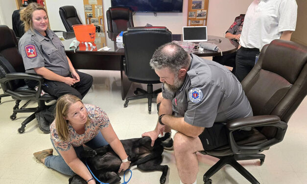 K-9 Training with Fairfield EMS