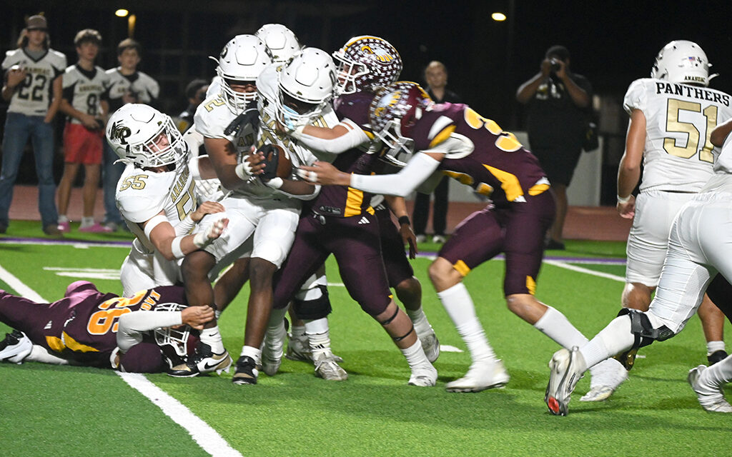 Eagles second half puts away Panthers in playoff