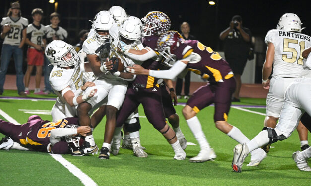 Eagles second half puts away Panthers in playoff