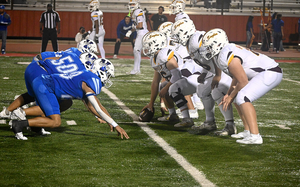 Playoffs End for Eagles: Bulldogs Outlast Eagles