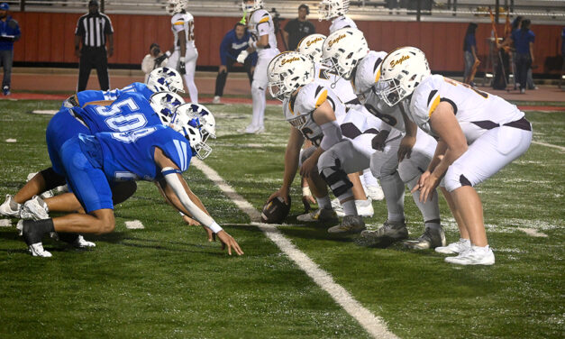 Playoffs End for Eagles: Bulldogs Outlast Eagles